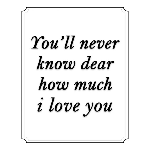 You will never know how much I love you